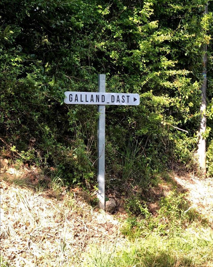 Domaine De Galland-Dast Cambes  Extérieur photo